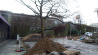 05.12.2012 - Die vorbereitenden Arbeiten haben auch am Parkplatz begonnen 