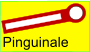 Pinguinale