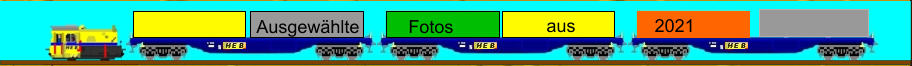 2021 Ausgewählte Fotos aus