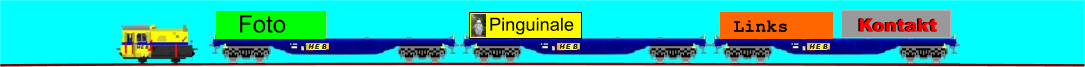 Pinguinale Links Kontakt Kontakt Foto