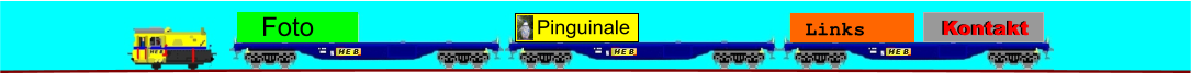 Pinguinale Links Kontakt Kontakt Foto