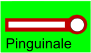 Pinguinale