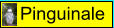 Pinguinale