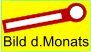 Bild d.Monats
