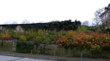 19.11.2010 Blick von der Dessauerstr. nach der Fllaktion im Frhjahr
