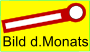 Bild d.Monats