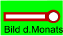 Bild d.Monats