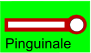 Pinguinale