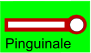 Pinguinale