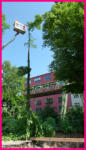 06.06.16 - Fliegende Baumteile. Diese Baum steht auf der Rohrtrasse und mute daher weichen.