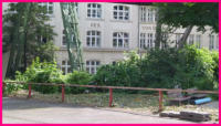 08.06.16 - 3 Bume wurden hier gefllt.