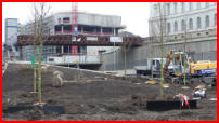 09.01.2017 - Heute wurden die Bume angeliefert und eingepflanzt.