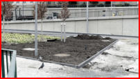 11.04.17 - Der restliche Mutterboden wurde eingebaut.