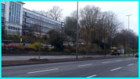 01.12.17 - Vor der IHK hat der Mittelstreifen noch einige Bume bekommen.