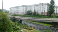 21.07.14 - Nach der Sperrrung der B 7 um 04:,30 Uhr wurde der Baum gegen 10:00 Uhr gefllt um Platz fr den Rckbau zu machen.