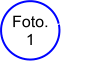 Foto. 1