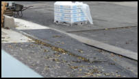 26.10.2020 - Hier wurde das Beet mit Asphalt aufgefüllt.