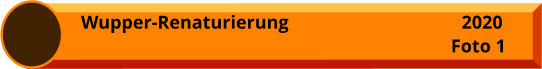 Wupper-Renaturierung Foto 1 2020