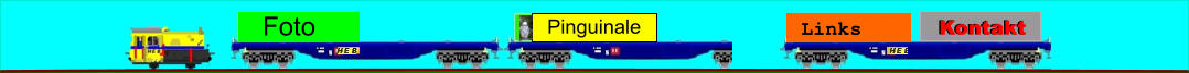 Pinguinale Links Kontakt Kontakt Foto