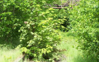 2009 Bahnhof Wichlinghausen Hhe Gesamtschule. Hier wurde spter das erste Teilstck der Trasse gebaut.