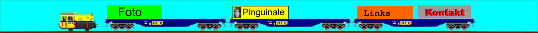 Pinguinale Links Kontakt Kontakt Foto