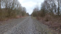 13.04.2013 - Blick in Richtung Varresbeck