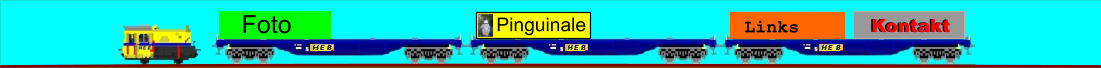 Pinguinale Links Kontakt Kontakt Foto