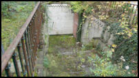 18.10.2020 - Auf dem alten Zugang haben die ersten Bäume ein Stehplatz gefunden.