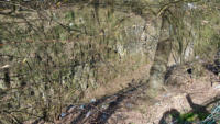 18.04.13 - Blick von der Strae Am Eckstein