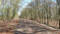 18.04.13 - einige 100 Meter spter.