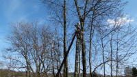 18.04.13 - ..auf der rechten Seite steht noch eineinsammer Telegrafenmast