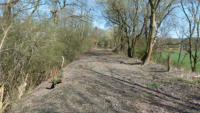 18.04.13 - 100 Meter weiter - Landschaft und Ruhe pur.