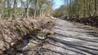 18.04.13 - Die Landschaft ndert sich wieder.