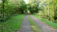 29.09.14 - Nur wenige Wochen nach Bauabschluss holt sich die Natur ihr Areal zurck.