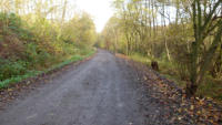 12.11.14 - Blickrichtung Bracken. Im Hintergrund endet zur Zeit die Teerdecke.