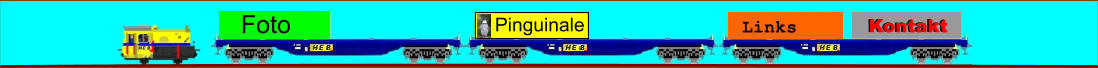 Pinguinale Links Kontakt Kontakt Foto