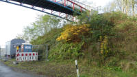 06.11.17 - Der Hang ist inzwischen von der Natur zurck erobert worden.