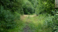 06.07.2016 - Dieser Streckenteil ist nun der Natur berlassen.