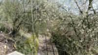 18.04.13 - Brcke Hildburgstrae. Blick in Richtung Gildenstrae