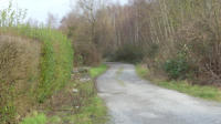 15.01.2018 - Hier liegt das alte Gleis rechts neben dem Weg im Dornengestrpp.