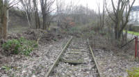 15.01.2018 - Blick zurck : Hier endet das Gleis im Dornengestrpp.