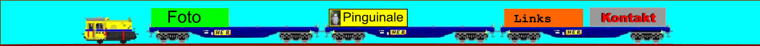 Pinguinale Links Kontakt Kontakt Foto