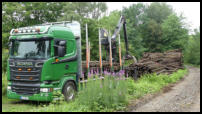 12.06.2018 - Die Gleise  werden hier einzeln auf einen Baumstammtransporter verladen...